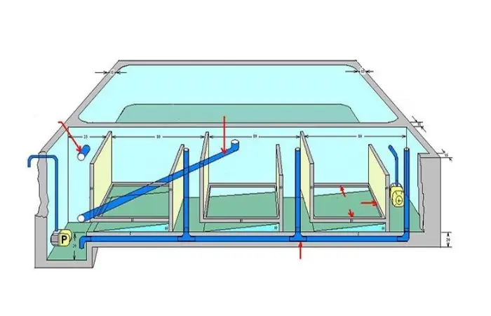 Cấu Trúc Của Hệ Thống Lọc Nước Hồ Cá Koi Ngoài Trời