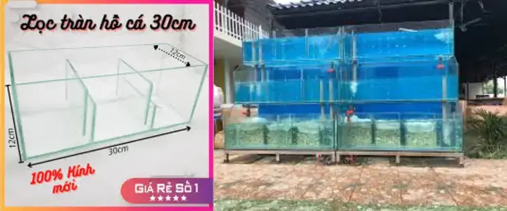 Lọc Nước Hồ Cá Hải Sản Là Gì?