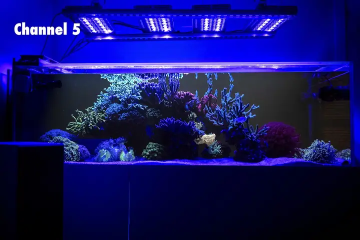 Đèn Led Bể Cá Rạn San Hô Orphek Natura Icon Sun & Moon Sync