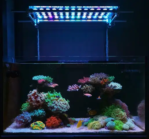 Đèn Led Cho Bể Cá Orphek Atlantik Icon Reef Không Chỉ Làm Cho Bể Của Bạn Trông Đẹp Mà Còn Tự Nó Đẹp.