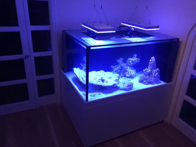 Orphek Atlantik