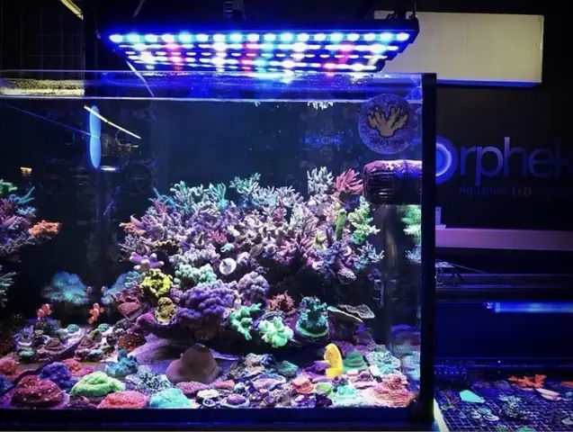 Đèn Led Cho Bể Cá Orphek Atlantik Icon Reef Không Chỉ Làm Cho Bể Của Bạn Trông Đẹp Mà Còn Tự Nó Đẹp.