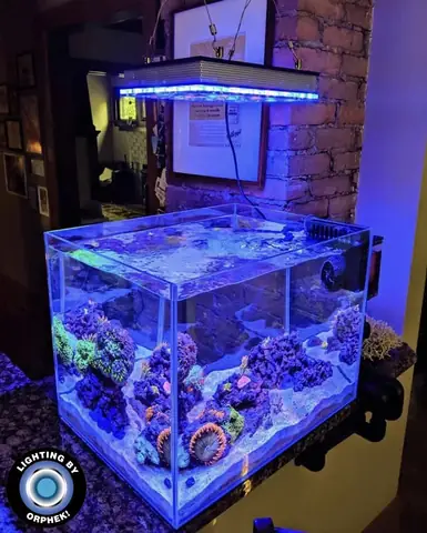 Đèn Led Cho Bể Cá Orphek Atlantik Icon Reef Không Chỉ Làm Cho Bể Của Bạn Trông Đẹp Mà Còn Tự Nó Đẹp.