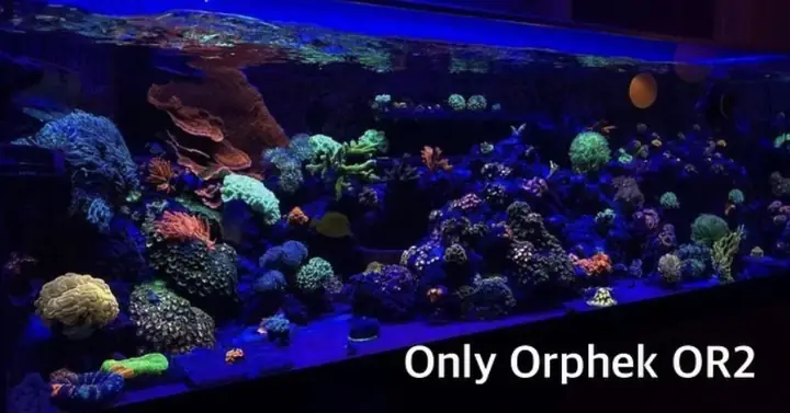 Đèn Led Cho Bể Cá Orphek Atlantik Icon Reef Không Chỉ Làm Cho Bể Của Bạn Trông Đẹp Mà Còn Tự Nó Đẹp.