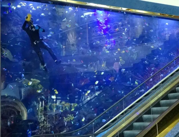 Dự Án Burj Al Arab Bể Led Light