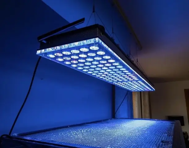 Đèn Led Cho Bể Cá Orphek Atlantik Icon Reef Không Chỉ Làm Cho Bể Của Bạn Trông Đẹp Mà Còn Tự Nó Đẹp.