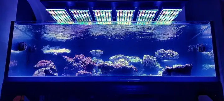 Đèn Led Bể Cá Rạn San Hô Tốt Nhất