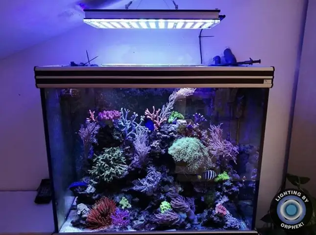 Đèn Led Cho Bể Cá Orphek Atlantik Icon Reef Không Chỉ Làm Cho Bể Của Bạn Trông Đẹp Mà Còn Tự Nó Đẹp.