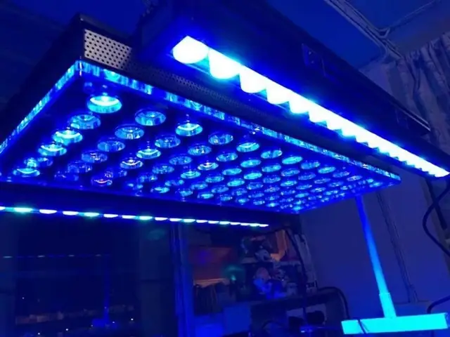 Đèn Led Cho Bể Cá Orphek Atlantik Icon Reef Không Chỉ Làm Cho Bể Của Bạn Trông Đẹp Mà Còn Tự Nó Đẹp.