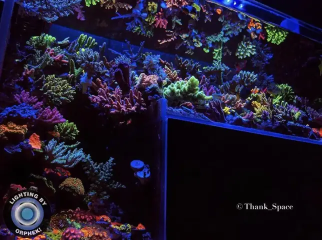 Đèn Led Cho Bể Cá Orphek Atlantik Icon Reef Không Chỉ Làm Cho Bể Của Bạn Trông Đẹp Mà Còn Tự Nó Đẹp.