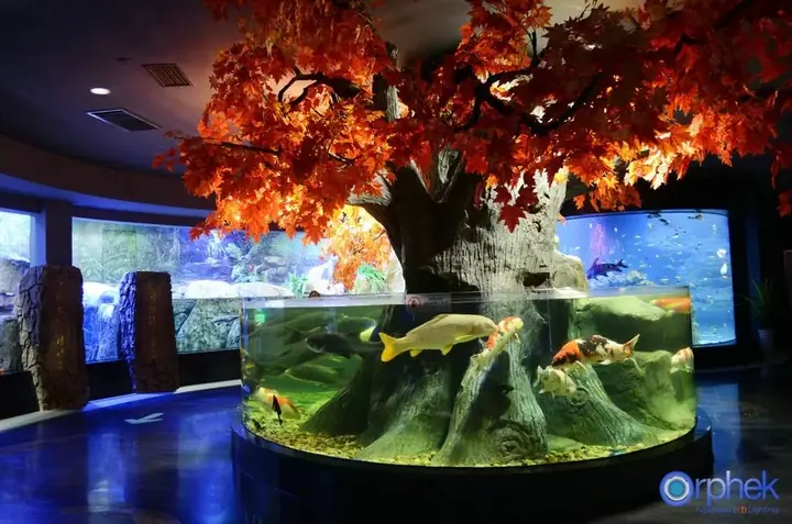Dự Án Thành Đô Công Aquarium Led Light