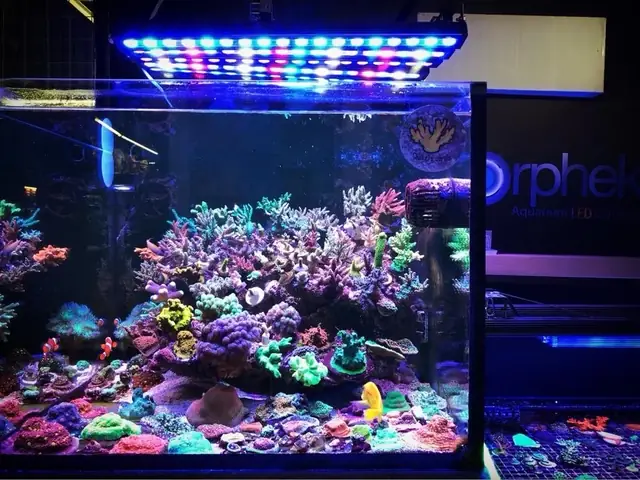 Đèn Led Cho Bể Cá Orphek Atlantik Icon Reef Không Chỉ Làm Cho Bể Của Bạn Trông Đẹp Mà Còn Tự Nó Đẹp.