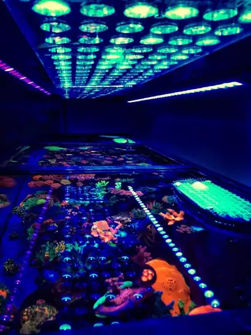 Đèn Led Cho Bể Cá Orphek Atlantik Icon Reef Không Chỉ Làm Cho Bể Của Bạn Trông Đẹp Mà Còn Tự Nó Đẹp.