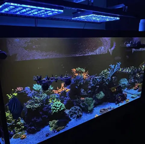 Đèn Led Cho Bể Cá Orphek Atlantik Icon Reef Không Chỉ Làm Cho Bể Của Bạn Trông Đẹp Mà Còn Tự Nó Đẹp.