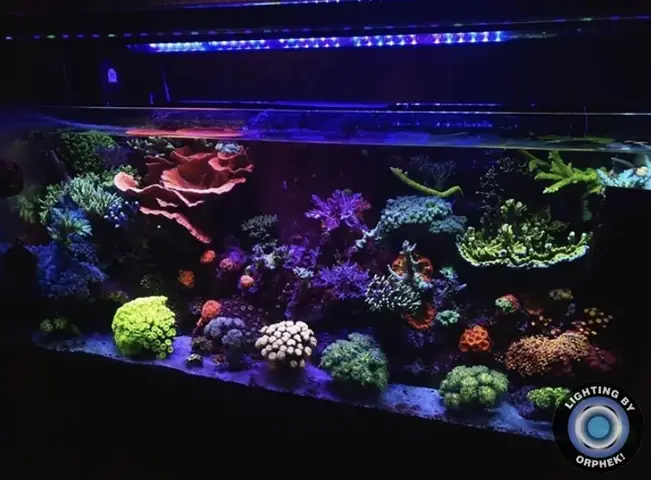 Đèn Led Cho Bể Cá Orphek Atlantik Icon Reef Không Chỉ Làm Cho Bể Của Bạn Trông Đẹp Mà Còn Tự Nó Đẹp.