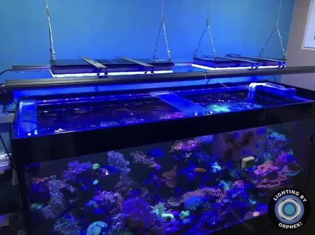 Đèn Led Cho Bể Cá Orphek Atlantik Icon Reef Không Chỉ Làm Cho Bể Của Bạn Trông Đẹp Mà Còn Tự Nó Đẹp.
