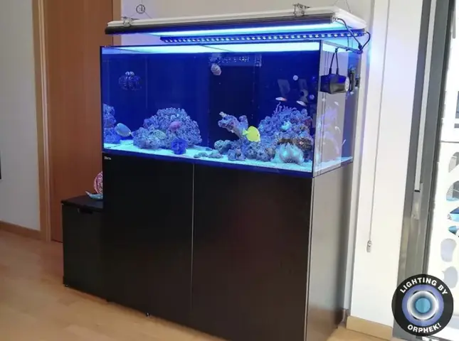 Đèn Led Cho Bể Cá Orphek Atlantik Icon Reef Không Chỉ Làm Cho Bể Của Bạn Trông Đẹp Mà Còn Tự Nó Đẹp.
