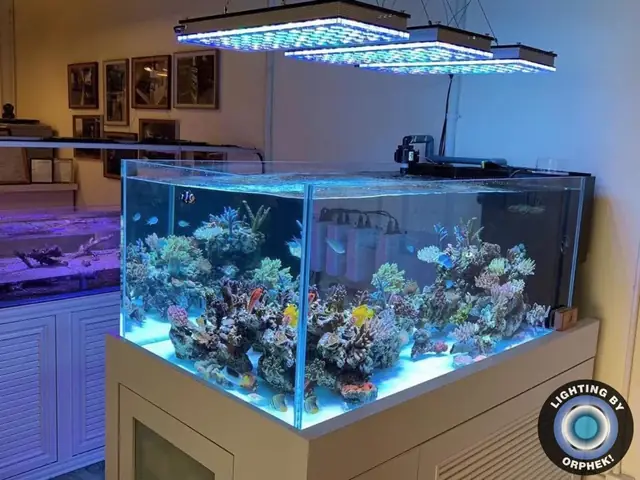 Đèn Led Cho Bể Cá Orphek Atlantik Icon Reef Không Chỉ Làm Cho Bể Của Bạn Trông Đẹp Mà Còn Tự Nó Đẹp.
