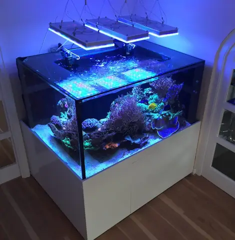 Orphek Atlantik