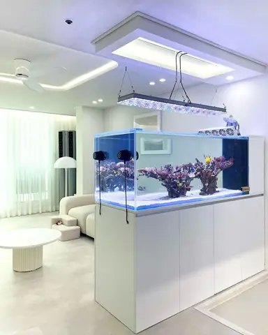 Hãy Xem Một Số Cách Bố Trí Bể San Hô Đẹp Và Thanh Lịch Nhất Với Đèn Led Orphek Atlantik Icon Reef: