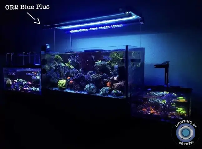 Đèn Led Cho Bể Cá Orphek Atlantik Icon Reef Không Chỉ Làm Cho Bể Của Bạn Trông Đẹp Mà Còn Tự Nó Đẹp.