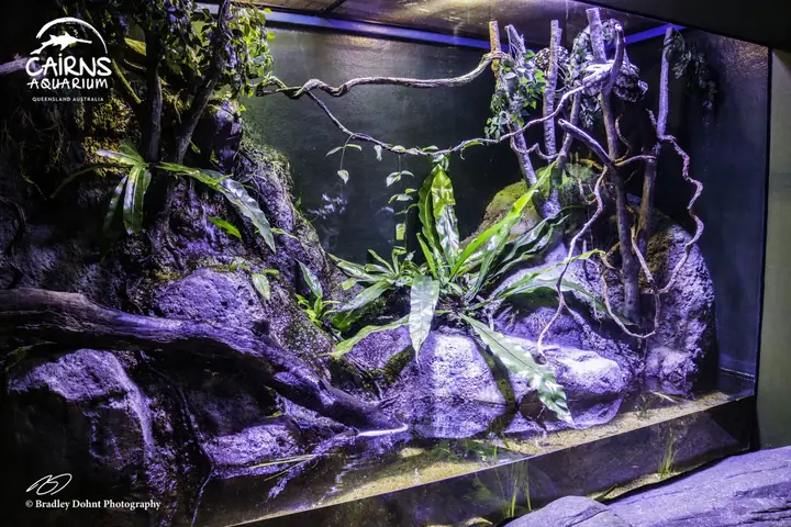 Dự Án Hồ Chứa Công Cộng Cairns - Queensland, Australia