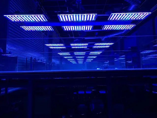 Hãy Xem Một Số Cách Bố Trí Bể San Hô Đẹp Và Thanh Lịch Nhất Với Đèn Led Orphek Atlantik Icon Reef: