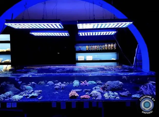 Đèn Led Cho Bể Cá Orphek Atlantik Icon Reef Không Chỉ Làm Cho Bể Của Bạn Trông Đẹp Mà Còn Tự Nó Đẹp.