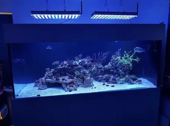 Đèn Led Cho Bể Cá Orphek Atlantik Icon Reef Không Chỉ Làm Cho Bể Của Bạn Trông Đẹp Mà Còn Tự Nó Đẹp.