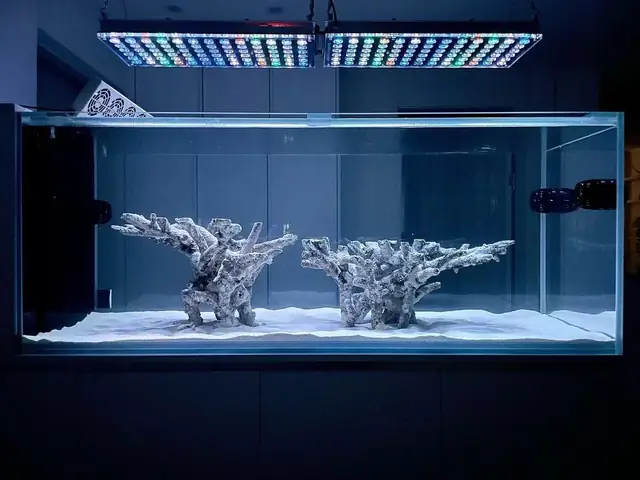 Hãy Xem Một Số Cách Bố Trí Bể San Hô Đẹp Và Thanh Lịch Nhất Với Đèn Led Orphek Atlantik Icon Reef: