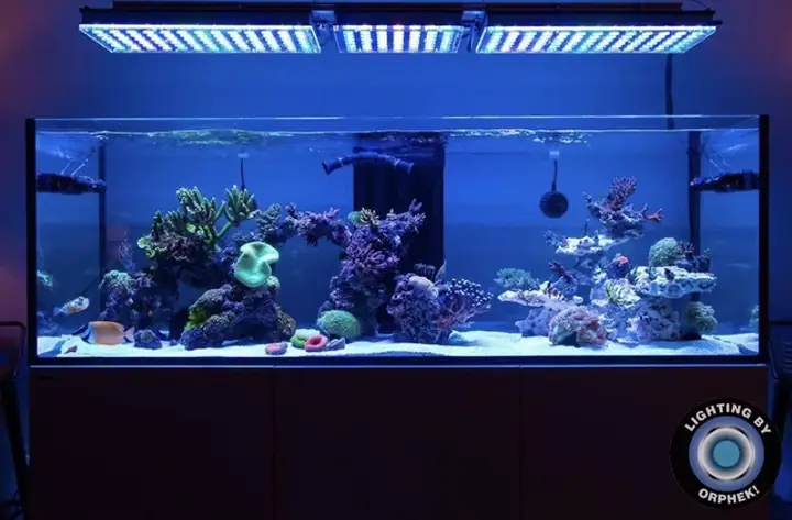 Đèn Led Cho Bể Cá Orphek Atlantik Icon Reef Không Chỉ Làm Cho Bể Của Bạn Trông Đẹp Mà Còn Tự Nó Đẹp.