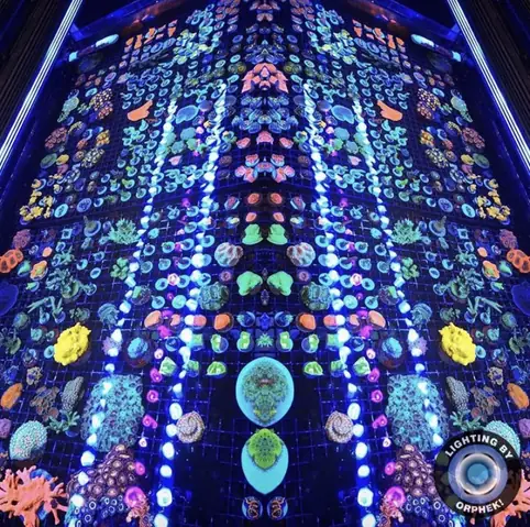 Đèn Led Cho Bể Cá Orphek Atlantik Icon Reef Không Chỉ Làm Cho Bể Của Bạn Trông Đẹp Mà Còn Tự Nó Đẹp.