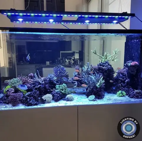Đèn Led Cho Bể Cá Orphek Atlantik Icon Reef Không Chỉ Làm Cho Bể Của Bạn Trông Đẹp Mà Còn Tự Nó Đẹp.