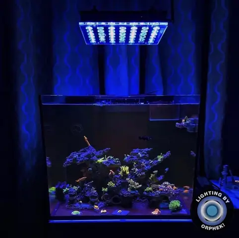 Đèn Led Cho Bể Cá Orphek Atlantik Icon Reef Không Chỉ Làm Cho Bể Của Bạn Trông Đẹp Mà Còn Tự Nó Đẹp.