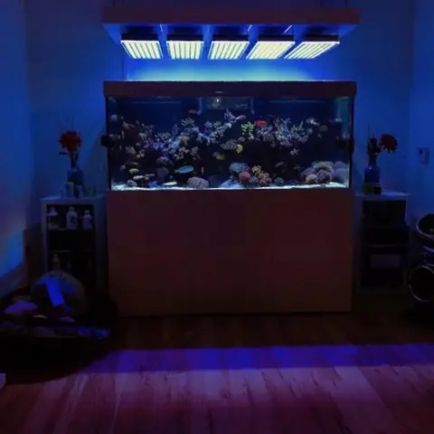 Đèn Led Cho Bể Cá Orphek Atlantik Icon Reef Không Chỉ Làm Cho Bể Của Bạn Trông Đẹp Mà Còn Tự Nó Đẹp.