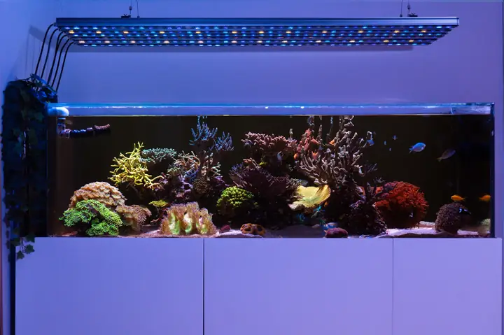 Đèn Led Bể Cá Orphek Or4 Icon Reef