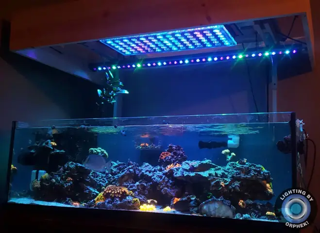 Đèn Led Cho Bể Cá Orphek Atlantik Icon Reef Không Chỉ Làm Cho Bể Của Bạn Trông Đẹp Mà Còn Tự Nó Đẹp.