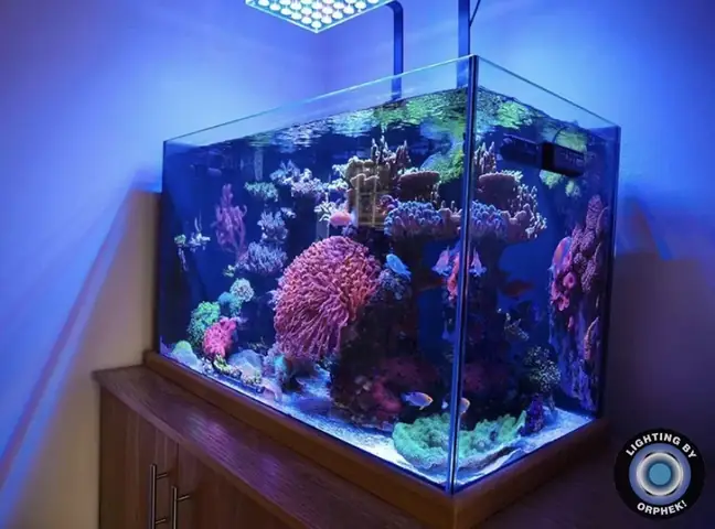 Đèn Led Cho Bể Cá Orphek Atlantik Icon Reef Không Chỉ Làm Cho Bể Của Bạn Trông Đẹp Mà Còn Tự Nó Đẹp.