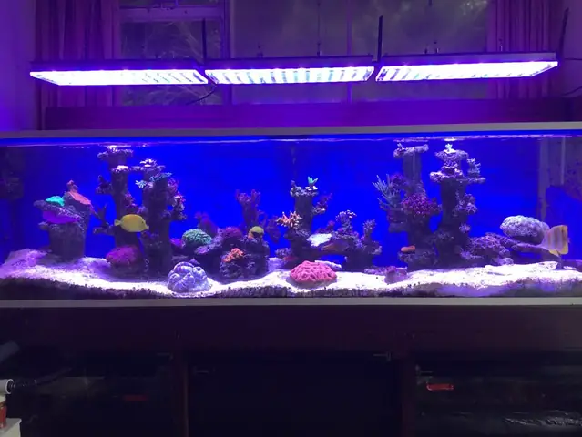 Orphek Atlantik