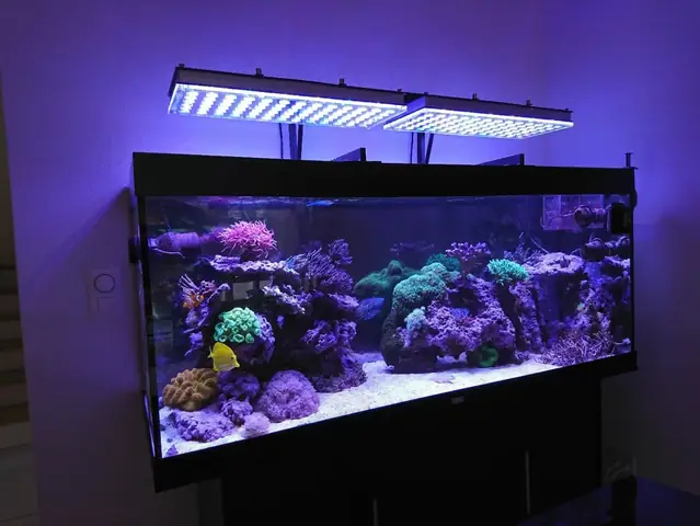 Orphek Atlantik