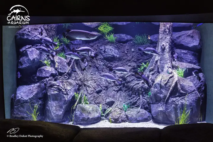 Dự Án Hồ Chứa Công Cộng Cairns - Queensland, Australia