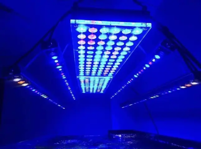 Đèn Led Cho Bể Cá Orphek Atlantik Icon Reef Không Chỉ Làm Cho Bể Của Bạn Trông Đẹp Mà Còn Tự Nó Đẹp.