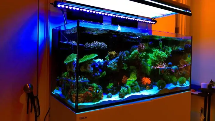 Đèn Led Cho Bể Cá Orphek Atlantik Icon Reef Không Chỉ Làm Cho Bể Của Bạn Trông Đẹp Mà Còn Tự Nó Đẹp.