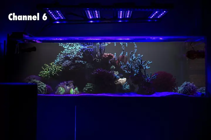 Đèn Led Bể Cá Rạn San Hô Orphek Natura Icon Sun & Moon Sync