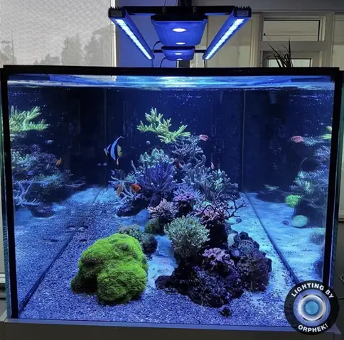 Đèn Led Cho Bể Cá Orphek Atlantik Icon Reef Không Chỉ Làm Cho Bể Của Bạn Trông Đẹp Mà Còn Tự Nó Đẹp.
