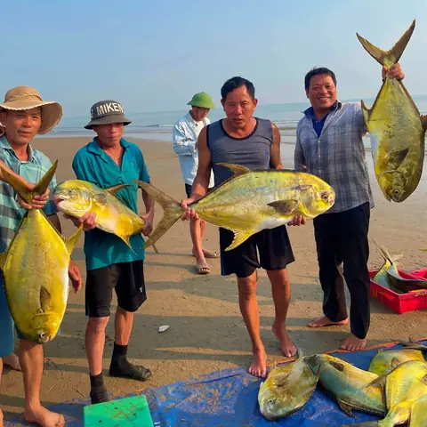 Đã Mắt Với Hình Ảnh Ngư Dân Hà Tĩnh Trúng Mẻ Cá Chim Vàng- Ảnh 1.