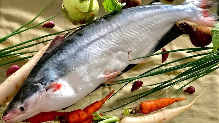 Hình Ảnh Con Cá Dứa: Đặc Điểm, Môi Trường Sống Và Giá Trị Kinh Tế