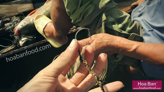 Vẻ Đẹp Và Sự Khác Biệt Củacá Lăng Sông Đà