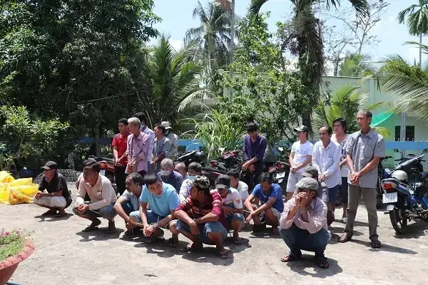 Đặc Điểm Hình Thái Nổi Bật Quahình Cá Lia Thia Đồng