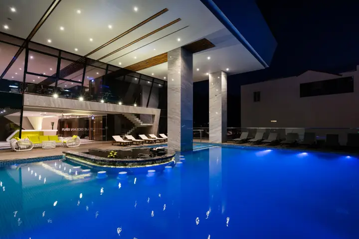 Hình Ảnh Cá Ngựa Hình Ảnh Cá Ngựa